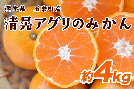 『清晃アグリ』のみかん★約4kg(2S-2Lサイズ) 予約受付中 フルーツ 秋 旬★熊本県玉名郡玉東町 健康な土で育つジューシーおいしいみかん！《11月中旬-12月末頃出荷(土日祝除く)》---sg_agurimikan_bc11_24_8500_4kg---