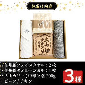 伯州綿タオル＆大山カリーセット！ ふるさと納税 境港市 特産品 フェイスタオル ハンカチ カレー ビーフ チキン 牛肉 鶏肉【sm-BP012】【フジキコーポレーション】