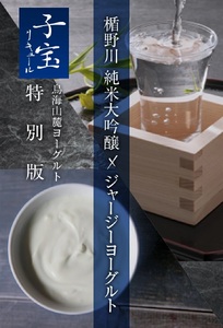 SC0691　酒田の酒屋厳選　子宝リキュール ヨー子　720ml×2本