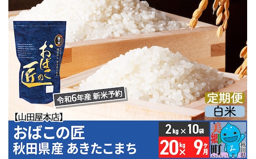 
										
										【白米】＜令和6年産 新米予約＞《定期便9ヶ月》おばこの匠 秋田県産あきたこまち 20kg×9回 計180kg 9か月 9ヵ月 9カ月 9ケ月 秋田こまち お米
									