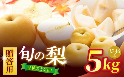 【先行予約】贈答用 信州松本平産 梨【幸水・豊水・南水】おまかせ詰め合わせセット 約５kg(15～16玉） ｜フルーツ 果物 甘い 梨 なし 幸水 豊水 南水 信州産 長野県 松本市 ふるさと納税