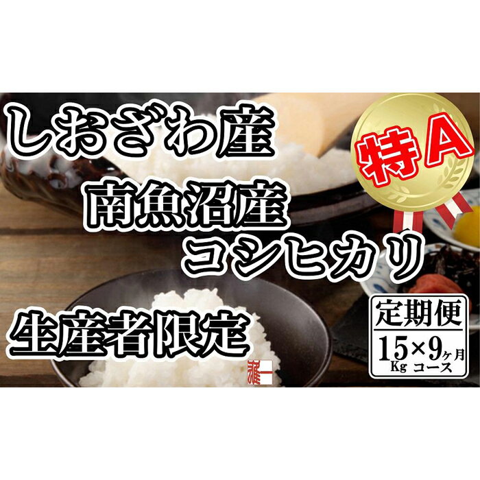 【ふるさと納税】【令和7年産】米 定期便 コシヒカリ 南魚沼しおざわ産 135kg ( 15kg × 9ヶ月 ) 契約栽培【2025年10月上旬より順次発送予定】 | お米 こめ 白米 コシヒカリ 食品 人気 おすすめ 送料無料 魚沼 南魚沼 南魚沼市 新潟県産 新潟県 精米