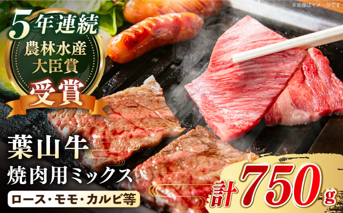 
            【幻の和牛】国産 和牛 A5ランク 黒毛和牛 葉山牛 焼肉用ミックス ( 約750g × 1パック ロース モモ カルビ 等 ) ／ 牛肉 和牛 焼き肉 モモ肉 BBQ キャンプ アウトドア 葉山町 神奈川県 やきにく バーベキュー 和牛 A5 牛肉 焼肉セット 牛肉【葉山牛ステーキレストラン 角車】 [ASBD002]
          