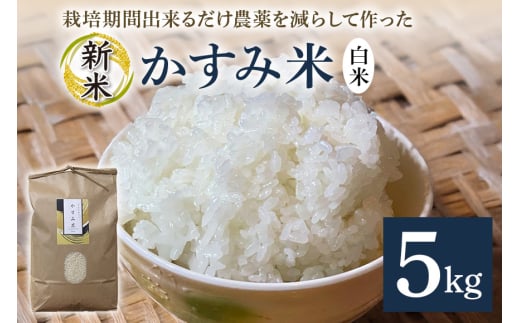 令和7年産新米 白米 5kg 栽培期間出来るだけ農薬を減らして作った「かすみ米」 茨城県産 コシヒカリ 米 お米 ご飯 ごはん 低農薬 しめじ菌床活用 甘み豊か 粘土質土壌育ち 健康志向 自然栽培 産地直送 贈答用 ギフト 茨城県 潮来市 (A03-007)
