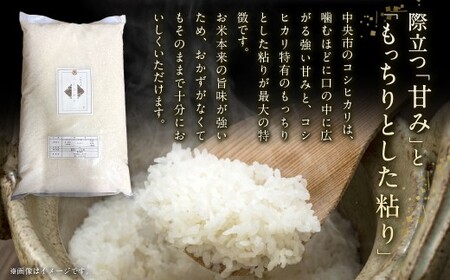 【 令和7年産 】 中央市産 コシヒカリ 10kg 米 お米 白米 精米 こしひかり 国産 山梨県産 ご飯 白飯 おにぎり