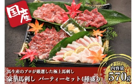 【国産】豪華馬刺し パーティーセット 4種盛り 熊本 馬刺し 4種 570g 盛合わせ 切れてる 特上 霜降り 上赤身 タテガミ フタエゴ 詰め合わせ セット 馬肉 馬 生食用 豪華 贈答用 ギフト お中元 お歳暮 JSファーム 阿蘇 南小国町 送料無料