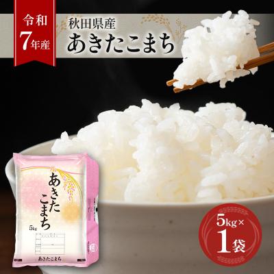 ふるさと納税 羽後町 【令和7年産】秋田県産あきたこまち 5kg×1袋[No.5325-0378]