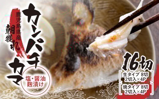 1033 カンパチカマ塩・醤油麹（こうじ）漬け16切［生タイプ・焼タイプ］