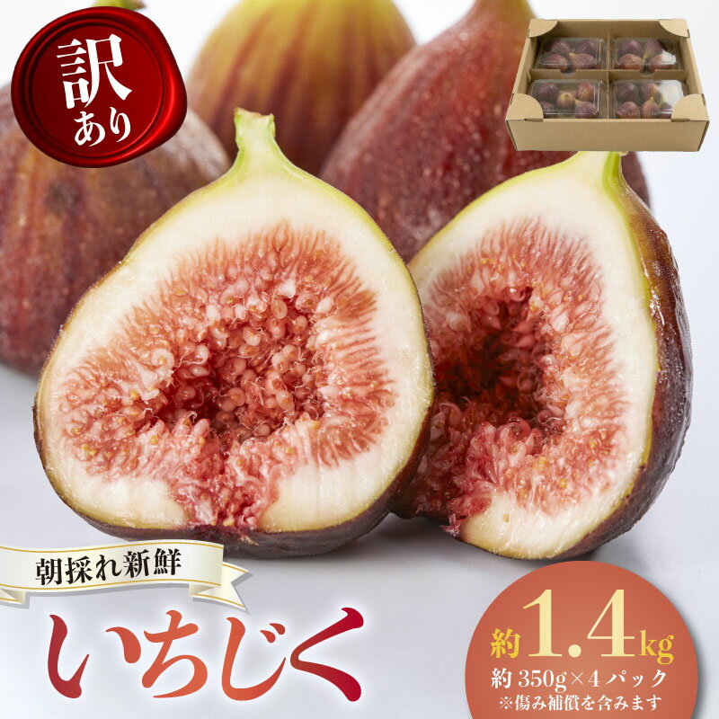 【ふるさと納税】 【先行予約】【2026年8月中旬~出荷】訳ありいちじく 約350g×4パック 計約1.4kg 冷蔵 果物 くだもの デザート 旬 贈答用 ギフト プレゼント おやつ 朝採れ 新鮮 ご褒美 国産 ジャム 人気 愛知県 南知多町 【配送不可地域：北海道 東北 九州 沖縄 離島】