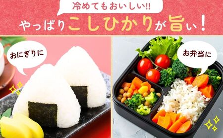 【令和7年度産】横田農場の有機栽培コシヒカリ 5kg | こしひかり 茨城県 龍ケ崎市