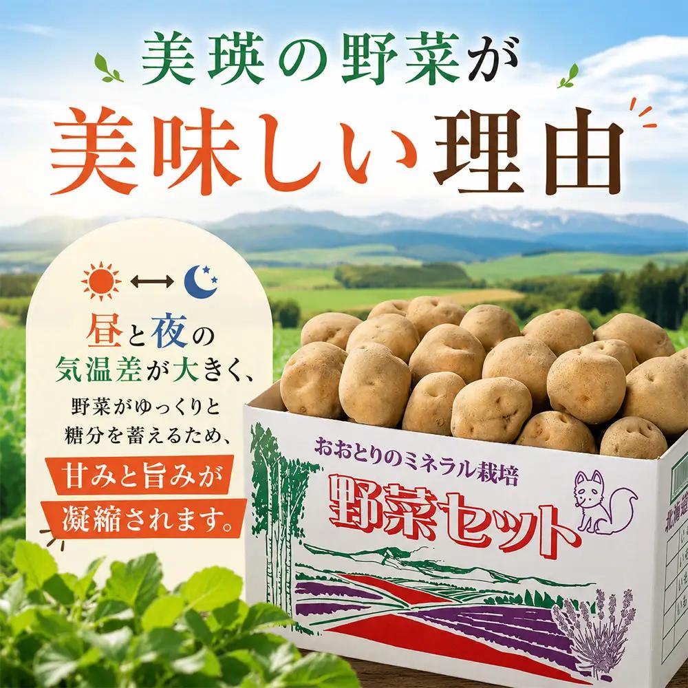 【先行予約】じゃがいも きたあかり 5kg ＜令和8年産＞ おおとり
