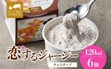 【ジェラート醍醐桜】恋するジャージーチョコチップ 6個セット / 岡山 真庭 【nhss017-01】