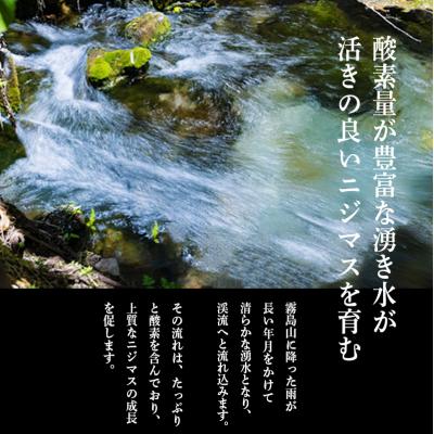 ふるさと納税 高原町 奥霧島の山河の恵み ニジマスの干物[晩酌 朝食 ギフト お土産] TF791 |  | 02