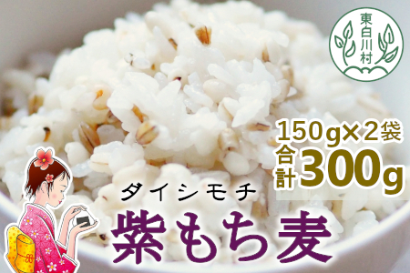 【令和7年度産】 東白川村産 紫もち麦 ダイシモチ 150g×2袋 計300g お米 こめ もち麦 雑穀 精米 ご飯 お取り寄せ