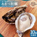 【ふるさと納税】 先行予約 あまべ牡蠣 10個 牡蠣 生食用 殻付き かき カキ オイスター 生ガキ 生牡蠣 生がき 生かき ギフト 貝 シングルシード 旨味 【2025年1月配送】