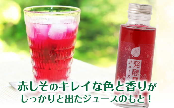 発酵ジュースのもと〈日田赤しそ〉 110ml×5本 日田市 / 株式会社インパクト [ARDA003]