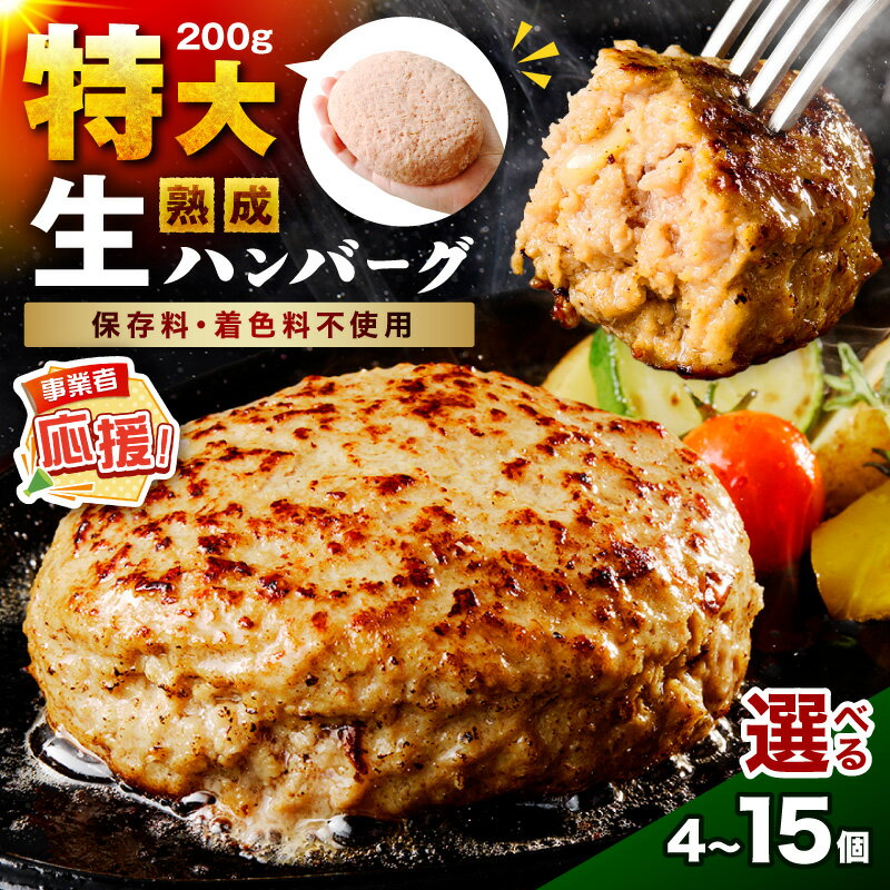 【ふるさと納税】選べる 内容量！【無添加】食べ応え抜群！ 生ハンバーグ 200g | 4個 10個 15個 【ふるさと納税3.0】