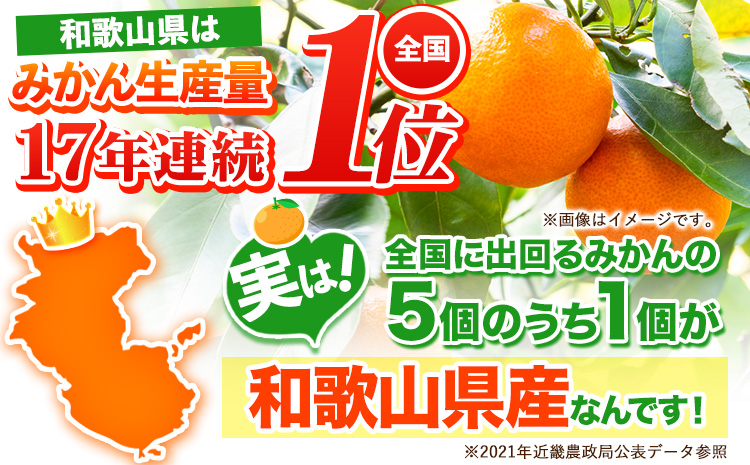 【ふるさと納税】【訳あり/サイズ不選別】 和歌山みかん 約10kg 和歌山県産 《11月中旬から1月中旬に出荷予定(土日祝除く)》たっぷり ご家庭用 2L〜2S 産地直送 みかん 旬 蜜柑 ミカン 柑