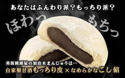 〈平日着希望〉 饅頭 詰め合わせ 加治木まんじゅう 美坂屋 計20個 セット 甘酒仕込み こしあん 和菓子 ふっくら 蒸し饅頭 お茶菓子 (a1049-B-01)