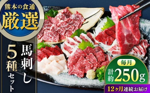 【全12回定期便】馬刺し 5種 盛り合わせセット 5人前 約250g 熊本直送【株式会社Foody’s】 [AYAT034]