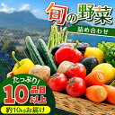 【ふるさと納税】地元の農家さんが収穫した旬のお野菜詰合せセット 約10kg（10品目以上）/ 南島原市 / ミナサポ [SCW022] 野菜 詰め合わせ セット