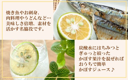 2254R_【先行予約】素材を活かす名脇役 大分県産かぼす1.8kg