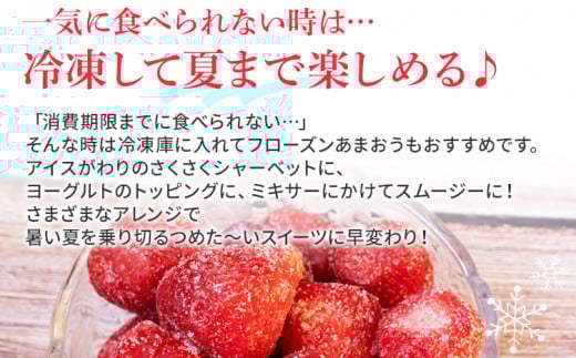 ジャム用あまおう2kg ※2025年2月中旬～5月10日頃にかけて順次出荷予定 BD07