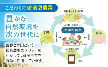 循環農法米 ヒノヒカリ白米 10kg / 米 こめ コメ おこめ お米 白米 ひのひかり / 諫早市 / 株式会社土井農場[AHAD095]