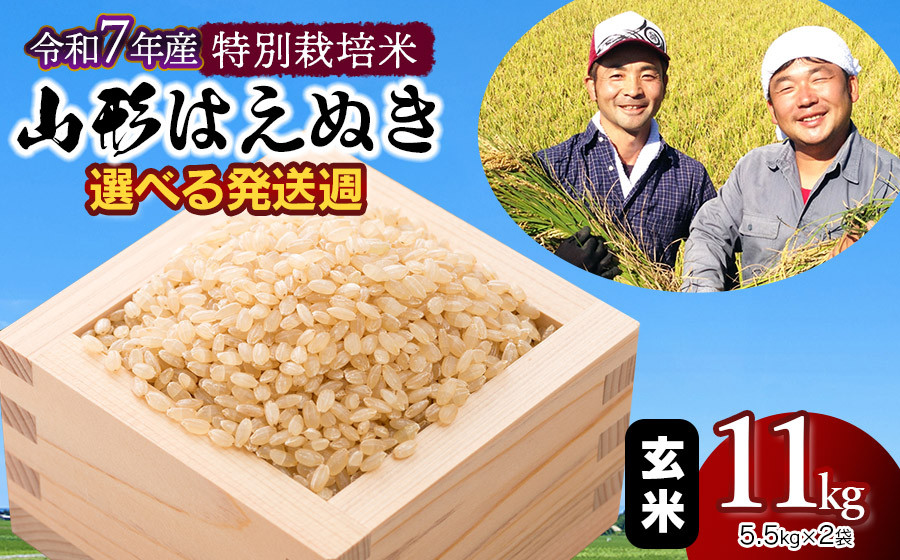 
            【令和7年産先行予約】特別栽培米 山形はえぬき玄米11kg(5.5kg×2袋)　選べる発送週　山形県鶴岡市産　鶴岡ファーマーズ
          