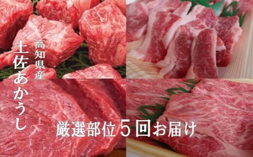 【ふるさと納税】 希少 土佐あかうし 定期便 5回 定期便 5回 土佐あかうし 厳選部位 牛肉 もも肉 ブロック サーロイン ステーキ しゃぶしゃぶ用 スライス カルビ 焼肉用 冷凍 国産 国産牛 和牛 ブランド牛 赤身 お肉 にく 高知県産 安田町 MT-13