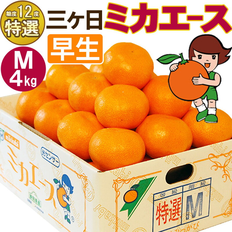 【ふるさと納税】フルーツ 【特選】ミカエース 4kg 36個前後 三ヶ日みかん 早生 Mサイズ 静岡県浜松市産 柑橘類 くだもの 果物甘いミカン　お届け：2026年12月上旬～2026年12月下旬
