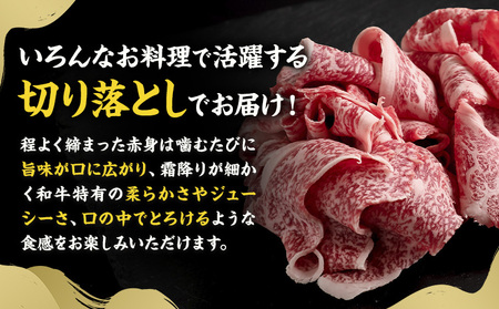 黒毛和牛 牛肉 切り落とし 1.2kg（300g×4） 茨城県 結城市 東和食品《90日以内に出荷予定(土日祝除く) 》お肉 肉 牛肉 和牛 牛 切り落とし 薄切り ロース バラ 精肉 国産 国産牛 