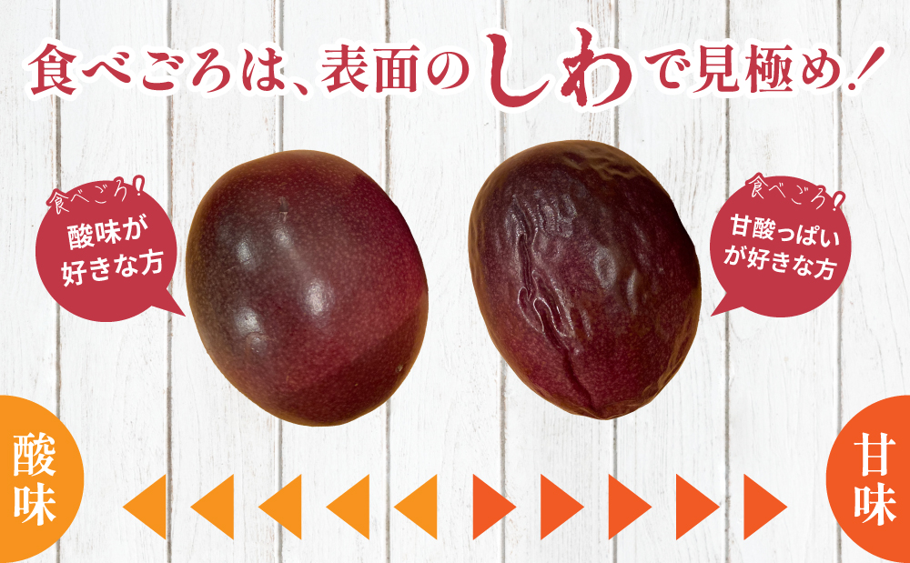 【鹿児島県産】パッションフルーツ 約2kg（10～12個程度×2箱） フルーツ 果物 旬 南国 鹿児島 南さつま市 清直kajuen