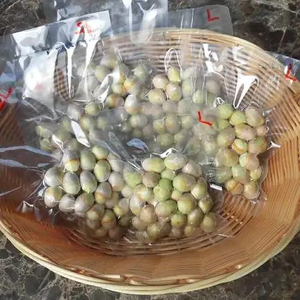 《先行予約》2026年 山形県産 グリーン銀杏 むき実 2L 約700g(100g×7) 2026年9月中旬から順次発送 銀杏 ぎんなん おつまみ 秋 野菜 期間限定 F20A-930