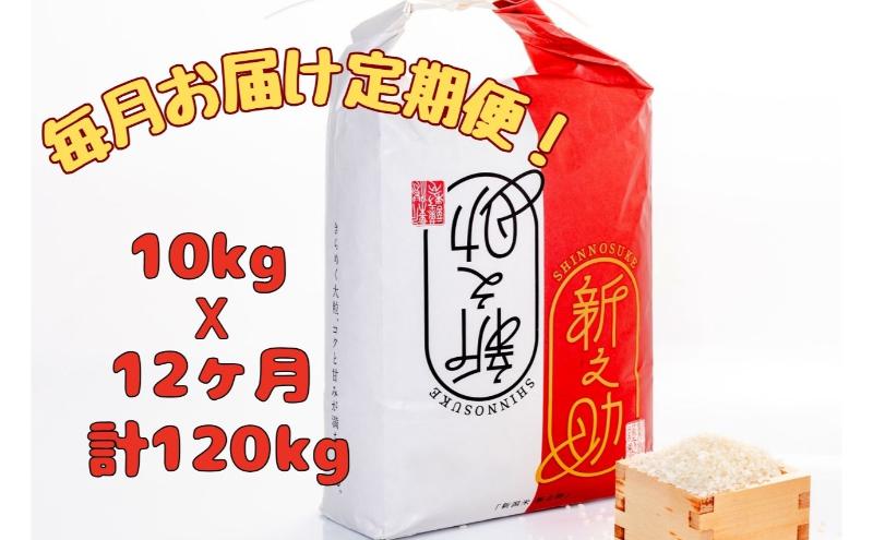 【通年受付】令和７年産【１０月発送開始！】魚沼産新之助　精米10kg（5kgx２袋）全12回 十日町市 十日町 米