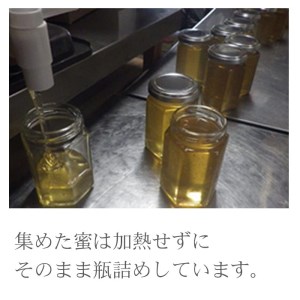 【羽生市産】 非加熱・純粋 雨読晴耕村舎の庭先 はちみつ 150g 3個 セット