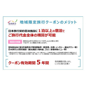 長野県長野市　日本旅行　地域限定旅行クーポン60,000円分 チケット