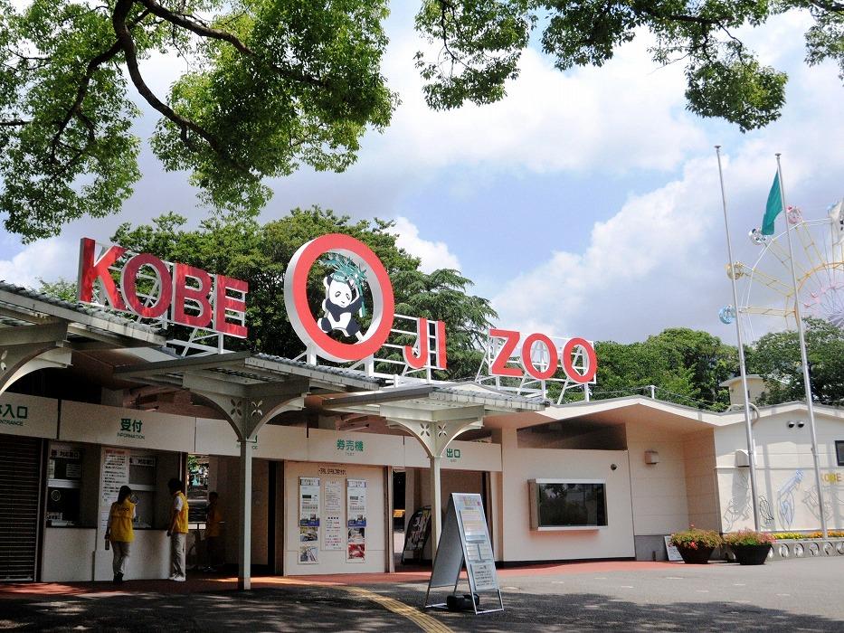 王子動物園入園券（2枚）オリジナルポストカード付