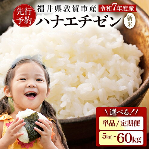 【ふるさと納税】先行予約【令和7年産 新米】『 ハナエチゼン 』精米 5kg〜 福井県敦賀市産 ＜選べる 単品 定期便＞【米 コメ お米 白米 ご飯 飯 華越前 ブランド米 国産 北陸 お中元 お歳暮 ギフト 贈り物 贈答 NEW 新規】