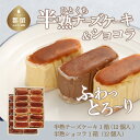 【ふるさと納税】毎年定番人気！半熟チーズケーキ1箱・半熟ショコラ1箱（各12個入り）計24個【ならや】｜スイーツ ケーキ お菓子 洋菓子 送料無料 プレゼント 贈り物 ギフト チーズ お取り寄せスイーツ スイーツギフト 無添加 お菓子 naraya