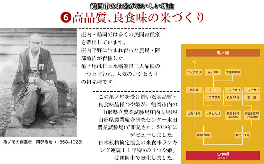 【令和7年産】はえぬき 精米 15kg (5kg×3袋) 山形県 庄内産　米食味鑑定士お薦め | 15キロ はえぬき 白米 精米 米 お米 おこめ コメ こめ 食品 ご飯 ごはん 山形県 鶴岡市 東北 国産 返礼品 納税