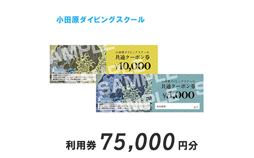 
小田原ダイビングスクール共通クーポン券 75,000円分【75,000円分クーポン券 小田原でダイビング ダイビングスクール 1万円クーポン券7枚 ライセンス講習 ダイビングライフ 5千円クーポン券1枚 神奈川県 小田原市 】
