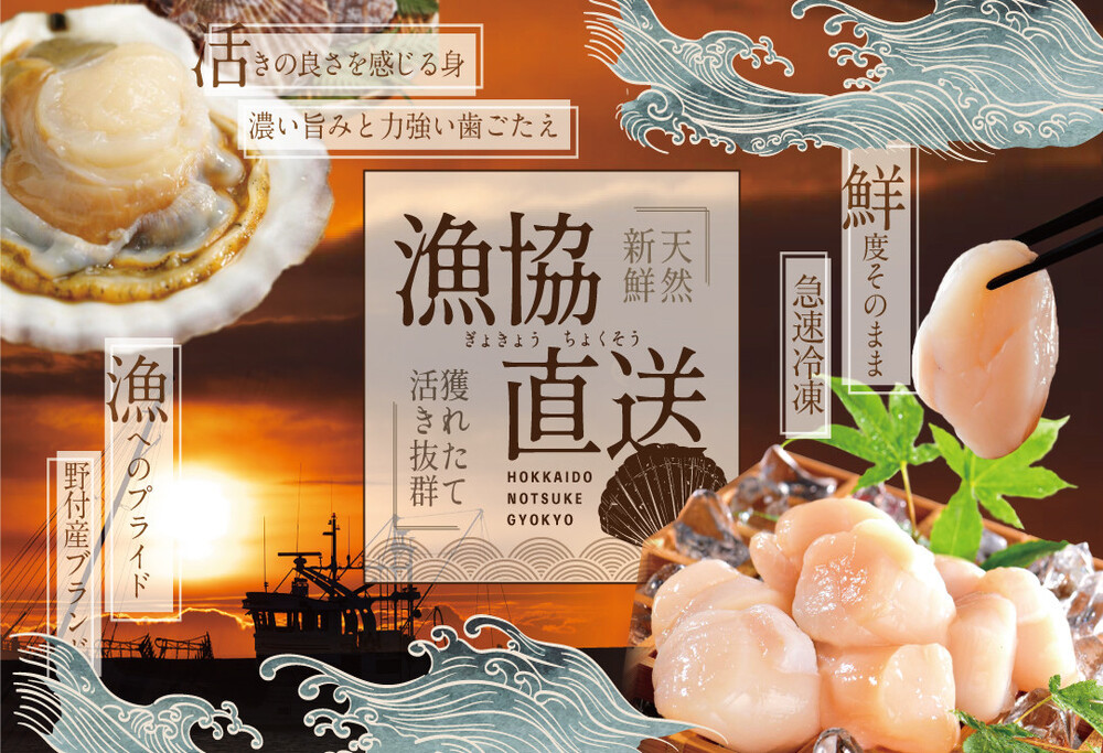 【毎月7ヶ月定期便】北海道 野付産  冷凍ホタテ貝柱 届いて嬉しい 大玉 ホタテ 500g 全 7回 水産事業者支援