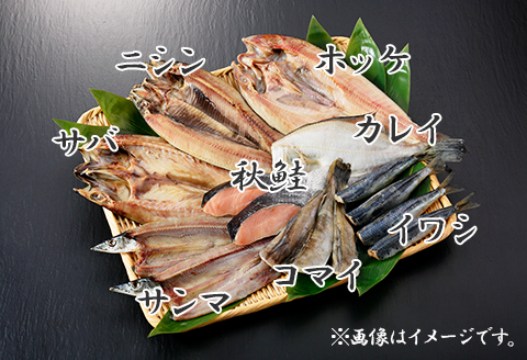 343. ふっくらやわらか 干物 9点セット 真ホッケ サンマ カレイ イワシ 秋鮭 コマイ ニシン サバ 魚介 海鮮 送料無料 北海道 弟子屈町