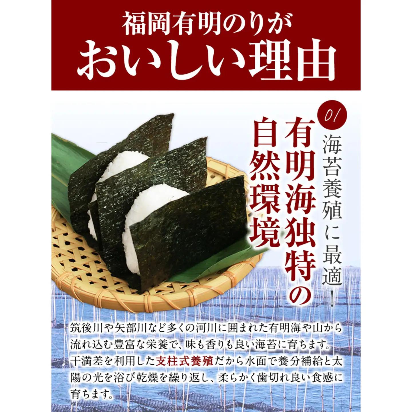 【6ヶ月定期便】有明海苔 全型 10枚 訳あり