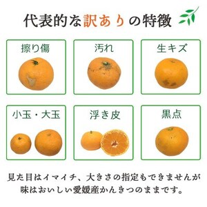 【訳あり】媛小春 7kg みかん 愛媛県 八幡浜市 西宇和地区 希少な幻の柑橘【G25-361】【1716111】