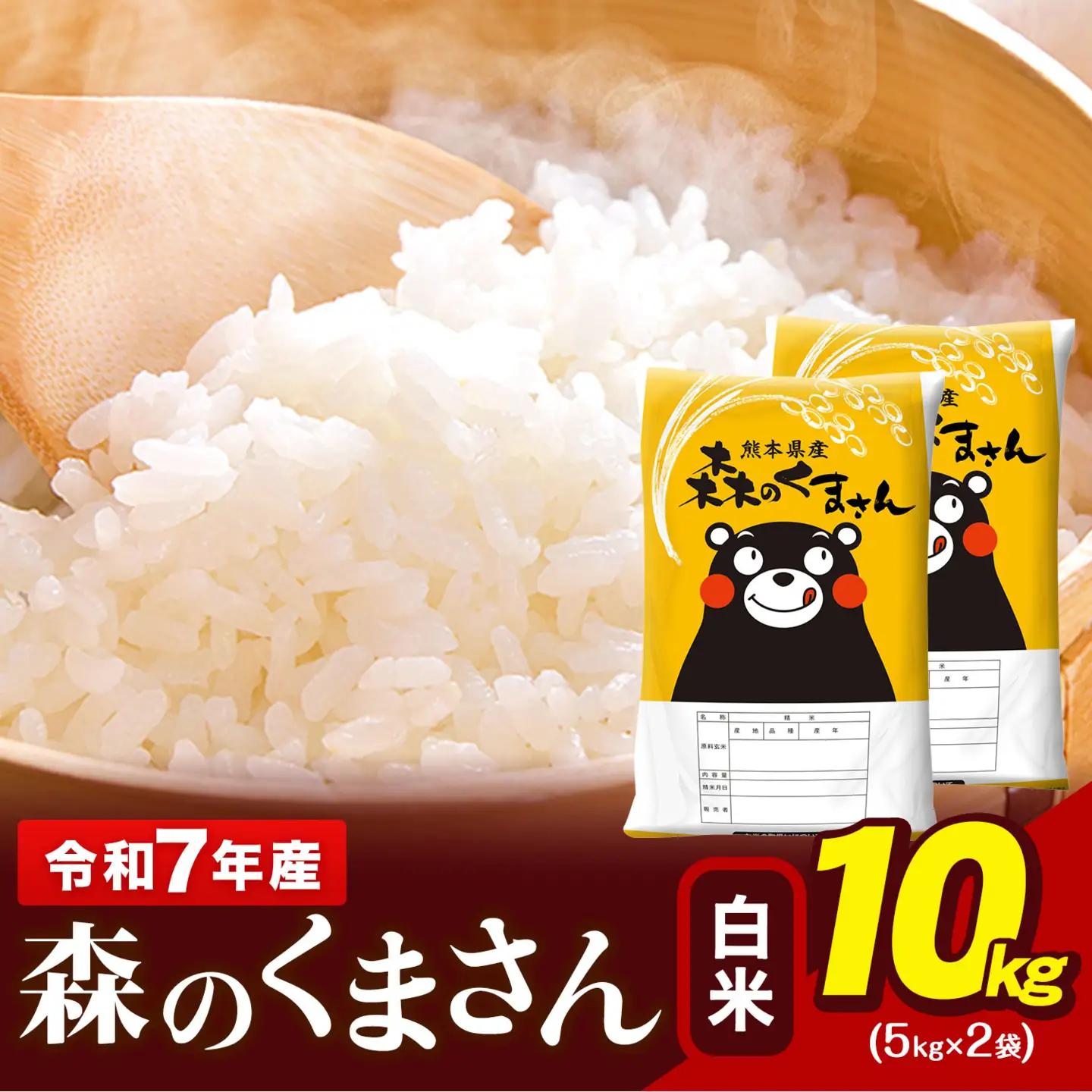 白米 令和7年産 森のくまさん 10kg 米