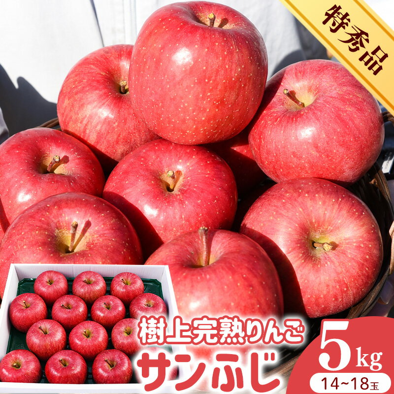 【ふるさと納税】令和8年産 樹上完熟りんご サンふじ 特秀品 5kg（14 - 18玉） 2026年産 山形県産【2026年12月上旬頃から下旬頃発送予定】 お取り寄せ ご当地 特産 産地直送 果物 フルーツ 林檎 リンゴ デザート おやつ 製菓 東北 5キロ
