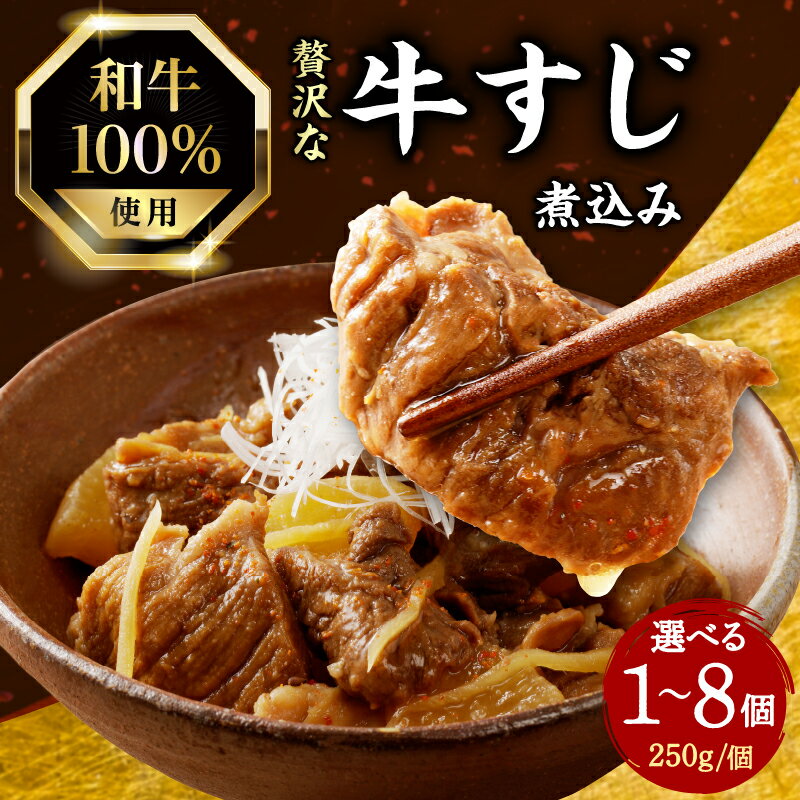 【ふるさと納税】お試し1個のみ スピード発送！！ 和牛100％の贅沢なすじ煮込み 250g 選べる個数（1〜8個） 《レビューキャンペーン》牛すじ 国産 すじ すじ煮込 おつまみ 大根 牛すじ煮込み すじ煮込み 和牛 牛肉 惣菜
