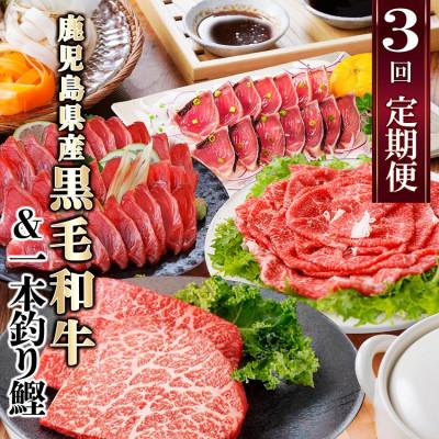 ふるさと納税 枕崎市 定期便(3回配送)枕崎お楽しみ便(黒毛和牛・一本釣りかつおたたき・さしみ) LL-6006